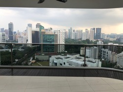 Trilight (D11), Condominium #177837442